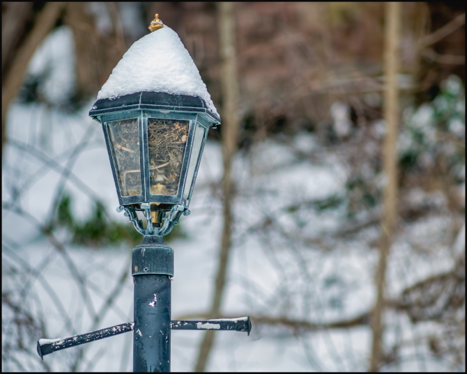 secondsnowfall-1-of-8