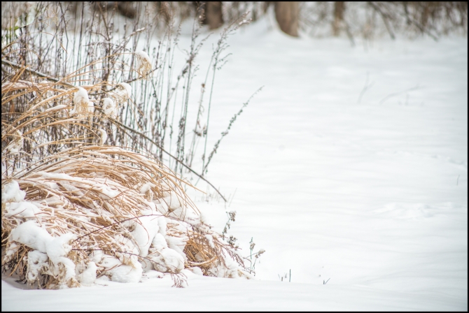 secondsnowfall-2-of-8