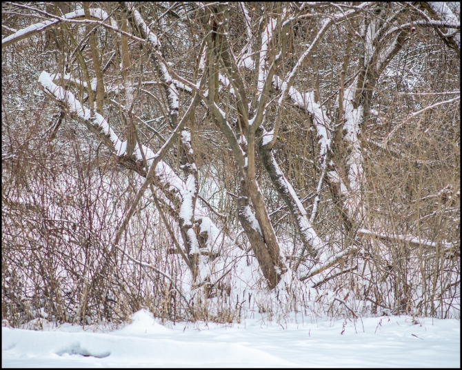 secondsnowfall-3-of-8