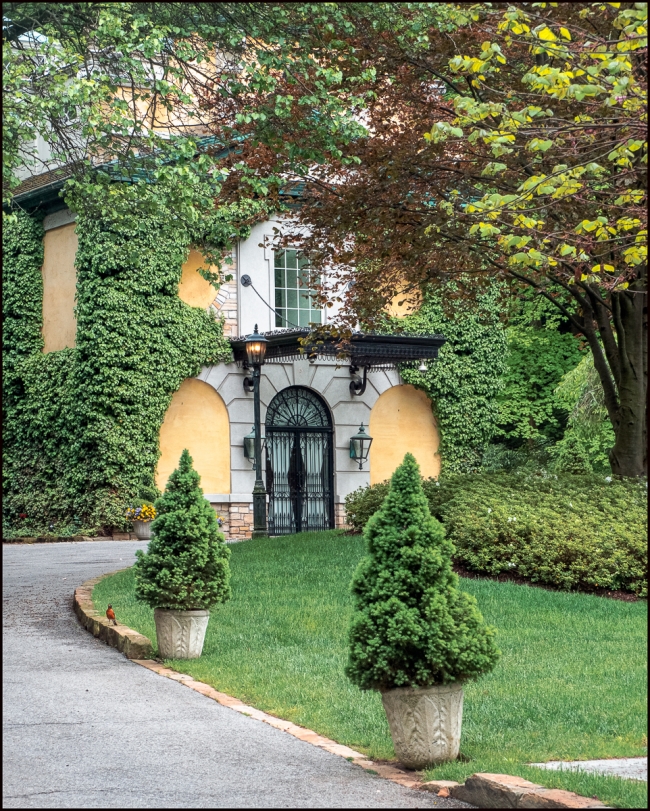 hastingscropseyfoundation-1