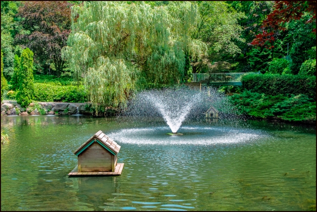 hastingscropseyfoundation-3