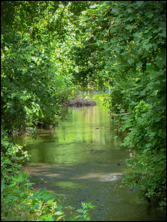 Pocantico-River-1-of-2