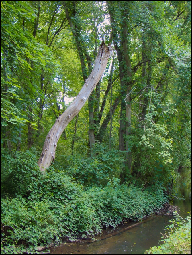 Pocantico-River-2-of-2