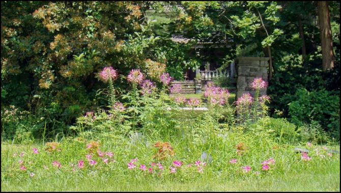 flowersinfrontofscarboroughpresbyterianchurchmanse-1-of-1
