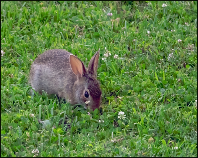 morevisitorstomygarden-2-of-5