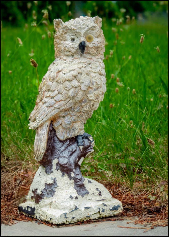 seeningardens-recentwalks-2-of-2