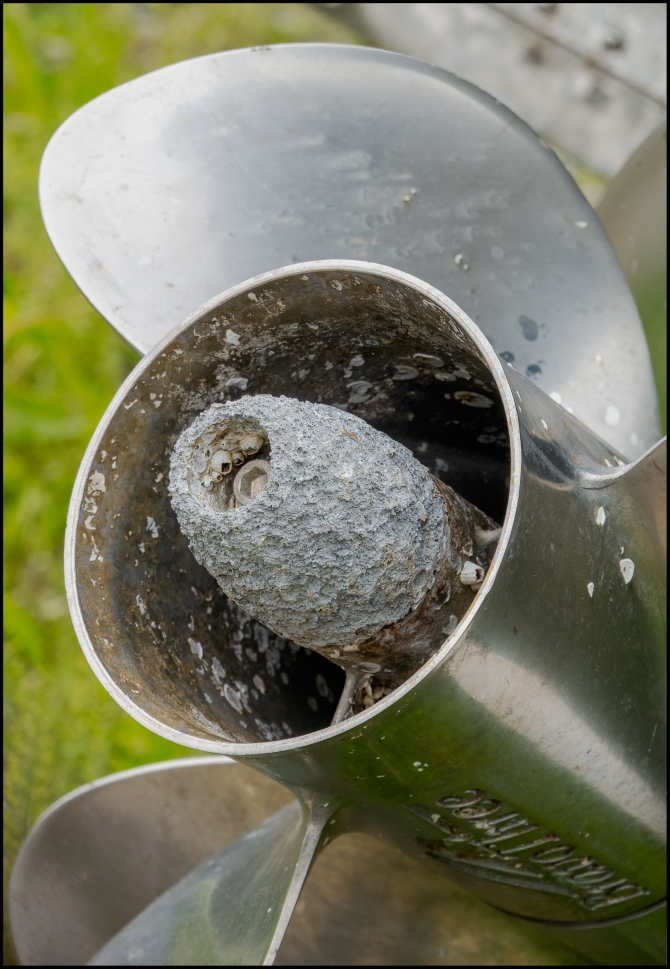 boatpropeller-1-of-1