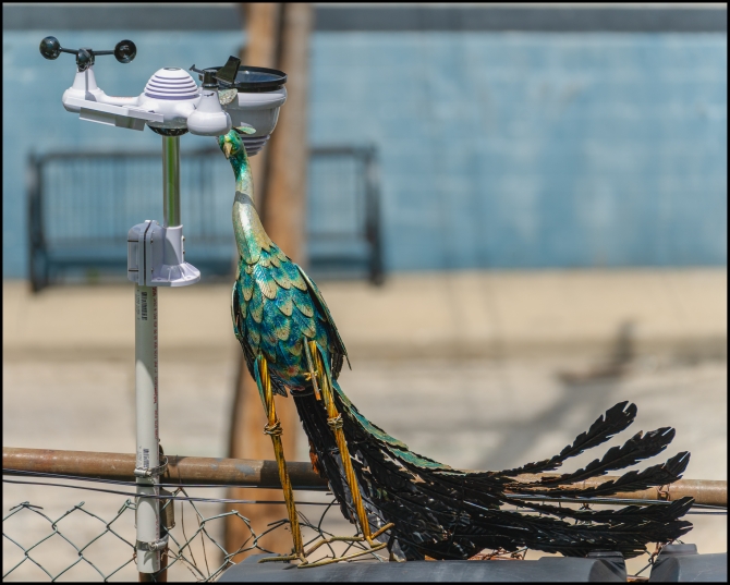 gardenornaments-1-of-3