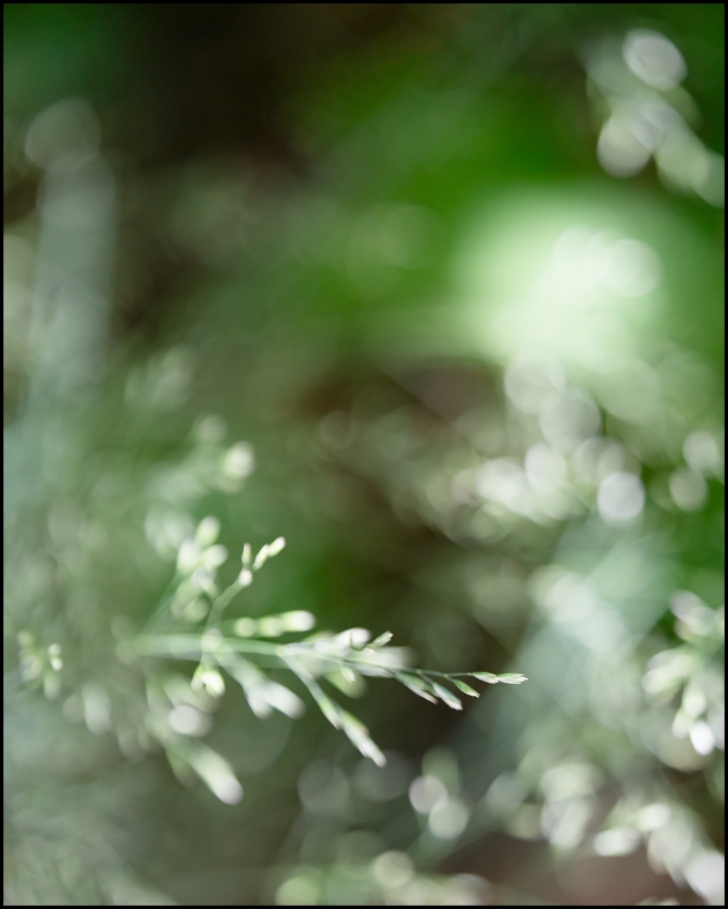 macrophotographyagain-8-of-8