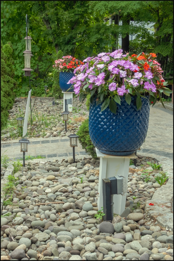 mykindofgarden-2-of-2