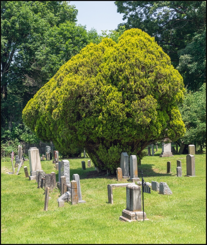 spartacemetery-12-of-17