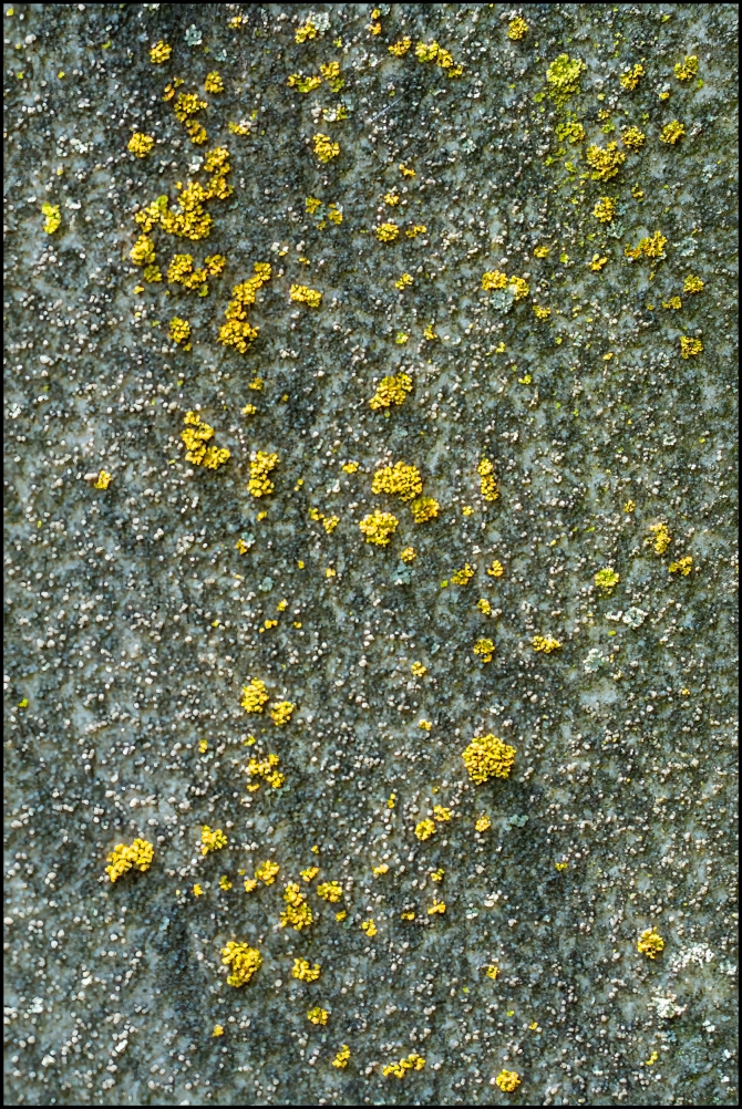 spartacemetery-15-of-17