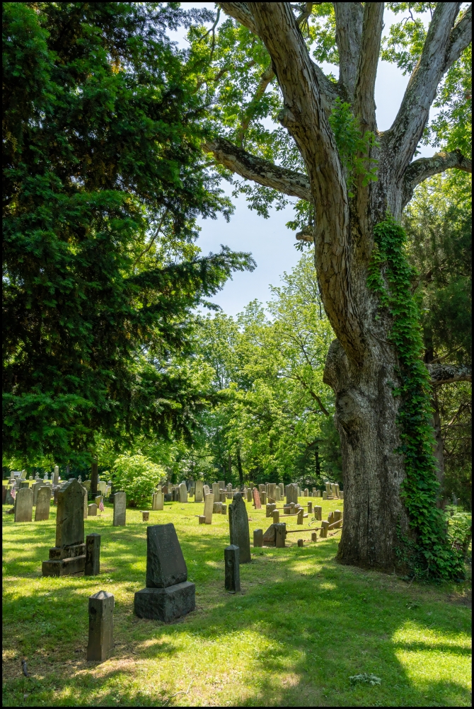 spartacemetery-16-of-17