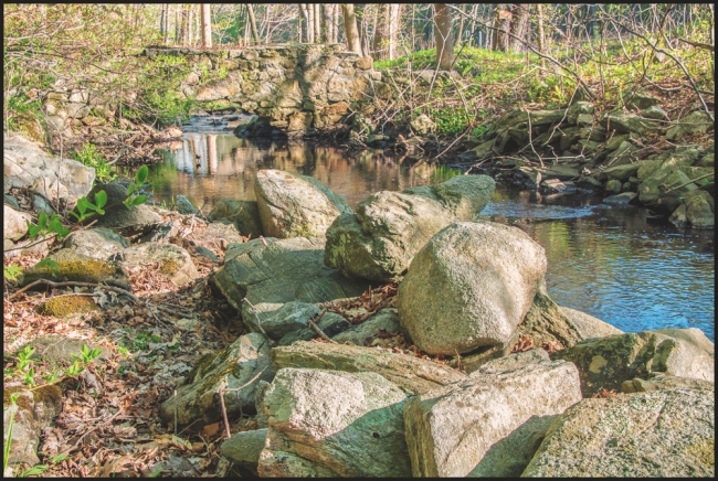 unnamedtrailbridge-1