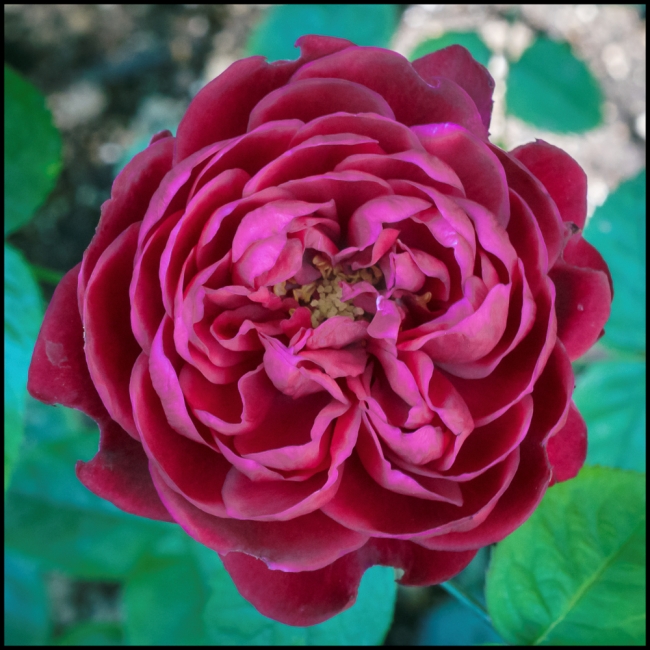 ldbraithwaite-1-of-1