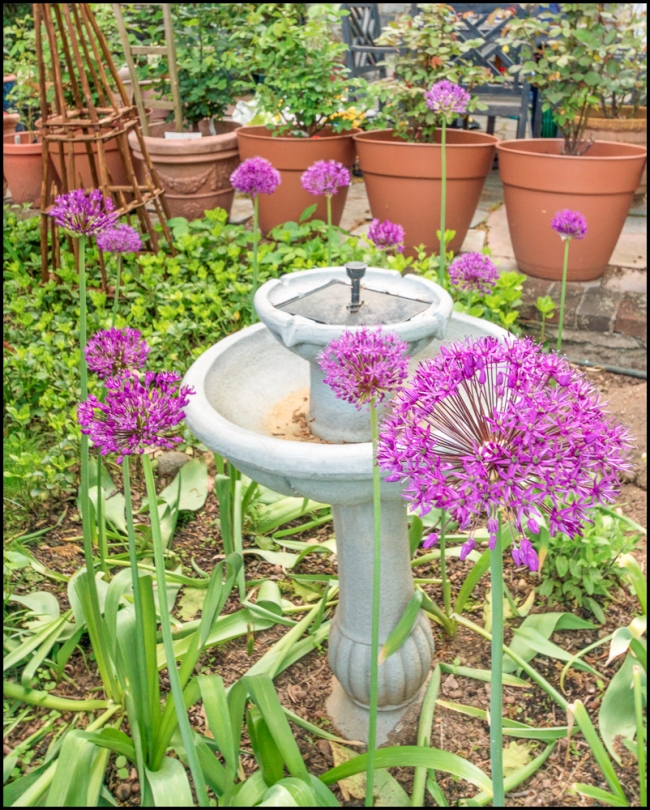 playingwithwideanglelens-9-of-2