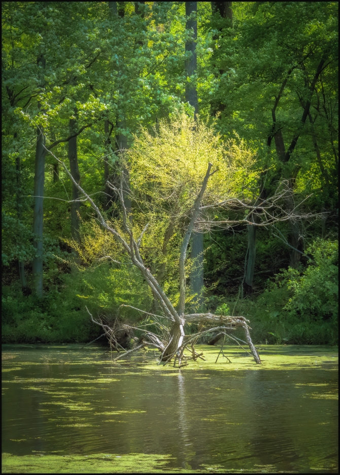 BluemountainReservation-1-of-11