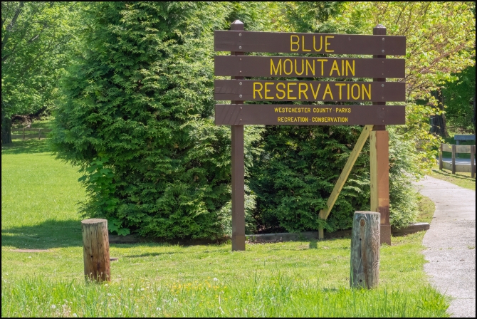 BluemountainReservation-11-of-11