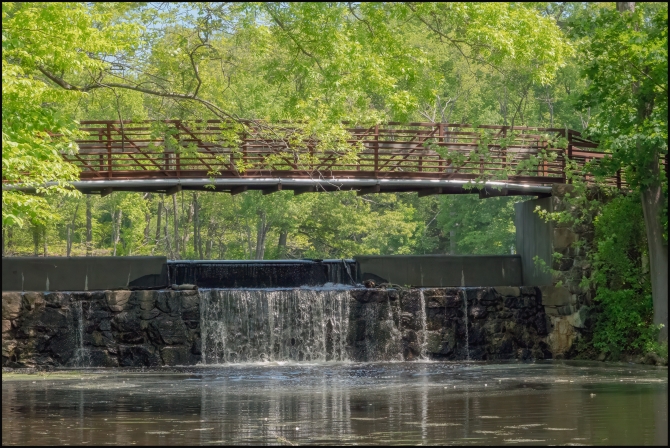 BluemountainReservation-2-of-11