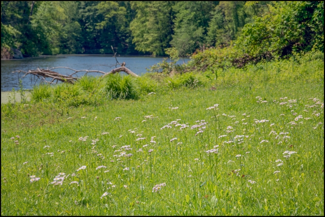 BluemountainReservation-3-of-11