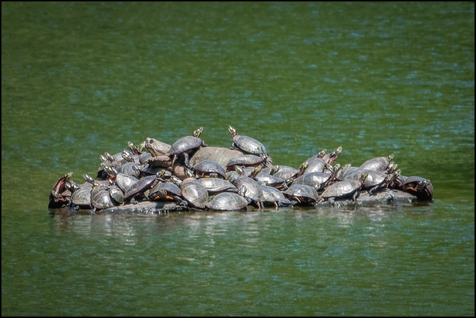 BluemountainReservation-4-of-11