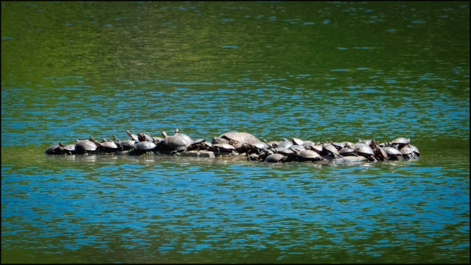 BluemountainReservation-5-of-11