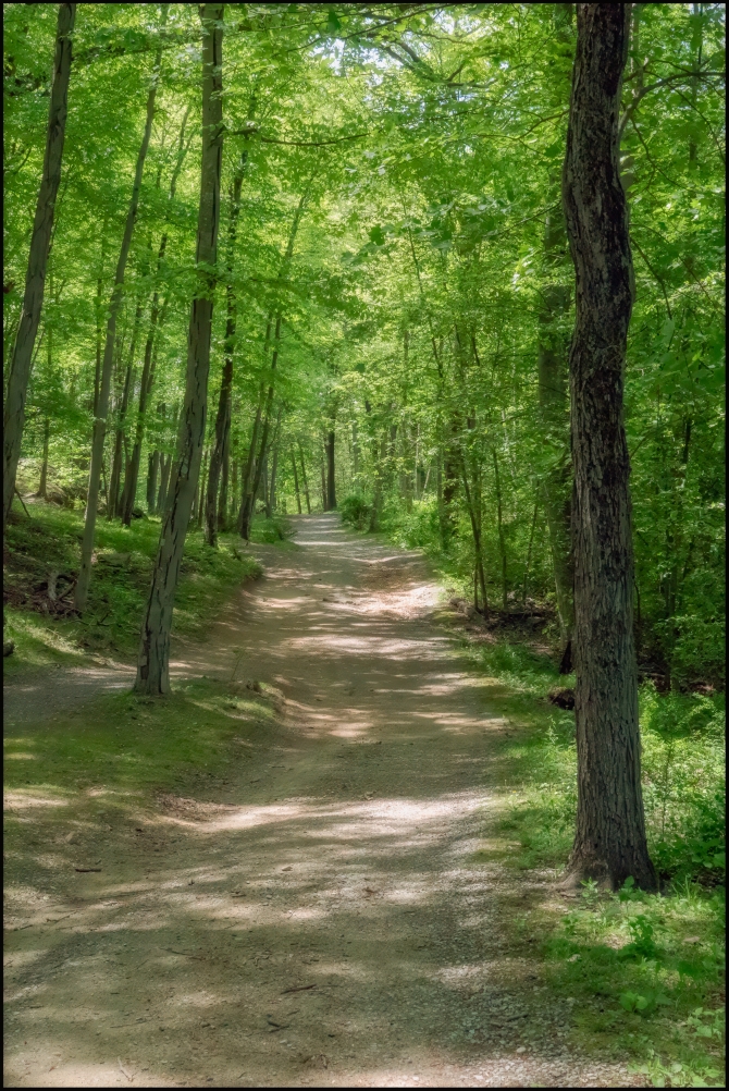 BluemountainReservation-6-of-11