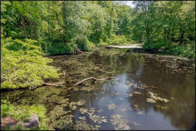 BluemountainReservation-7-of-11