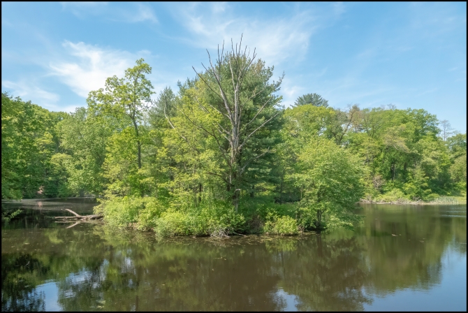 BluemountainReservation-8-of-11