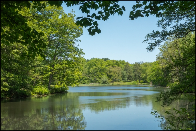 BluemountainReservation-9-of-11