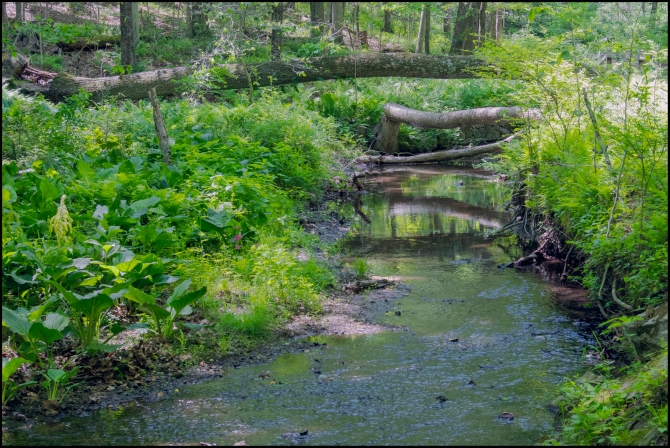 rockefellerpreservetorockwoodhalloverview-1-of-1