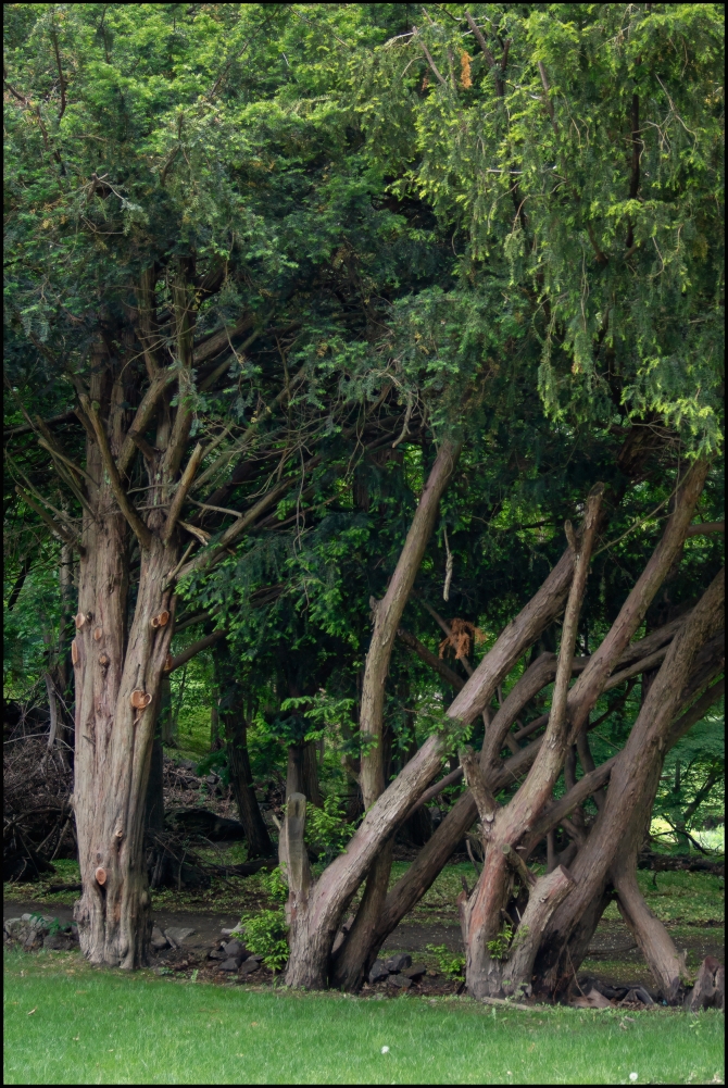 shortwalkalongOCA-2-of-9