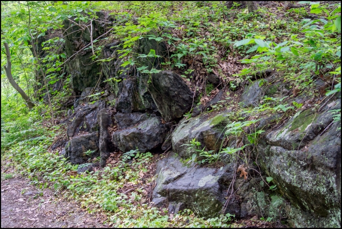 shortwalkalongOCA-6-of-9