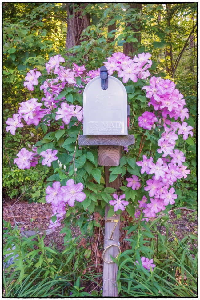 anothermailbox-1