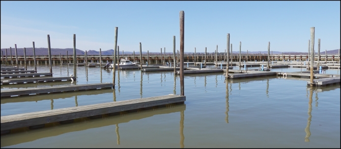 westerleymarina-4-of-5