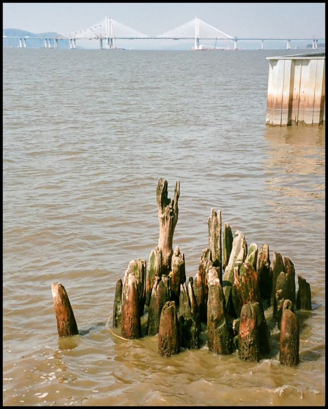 irvington-bythewaterfront-1