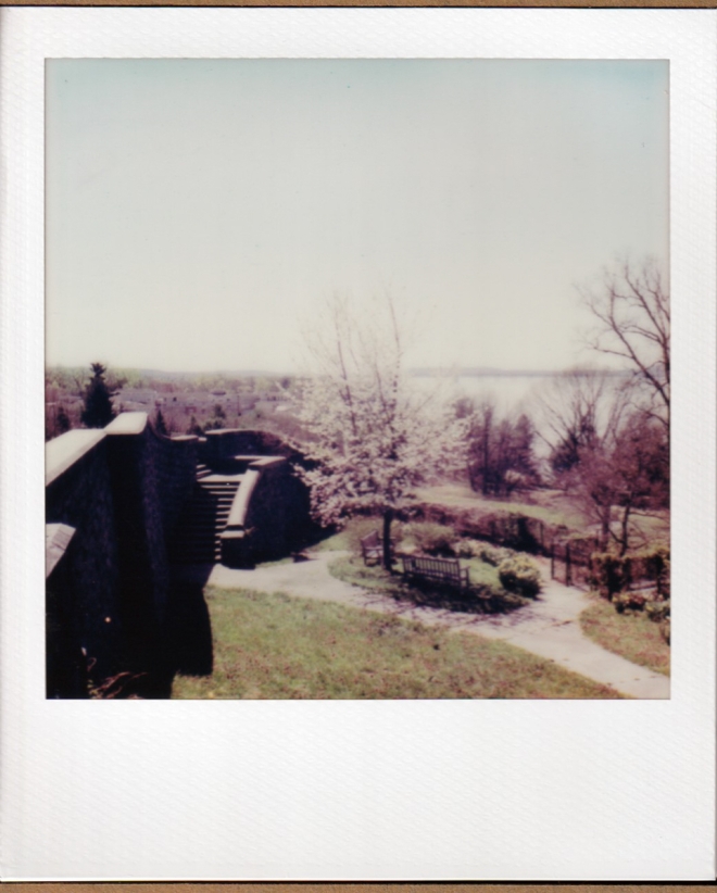 polaroidi2results-2-of-4