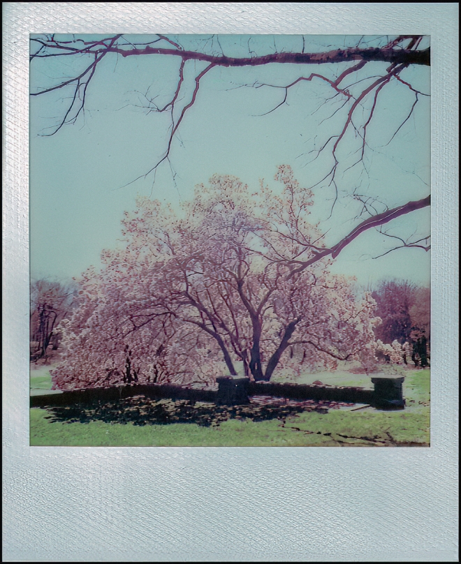 polaroidi2results2-2-of-8