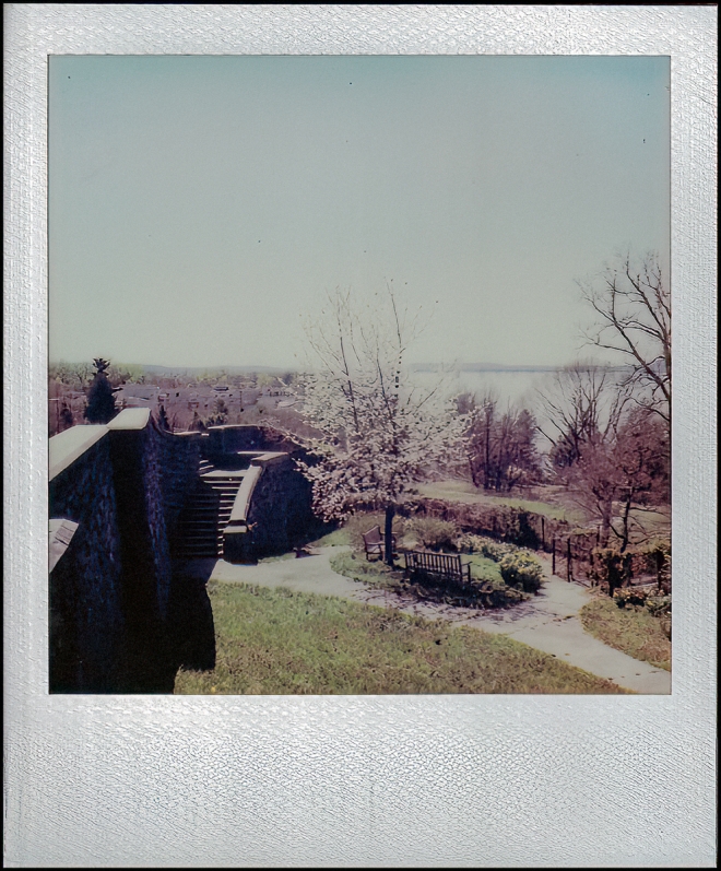 polaroidi2results2-3-of-8