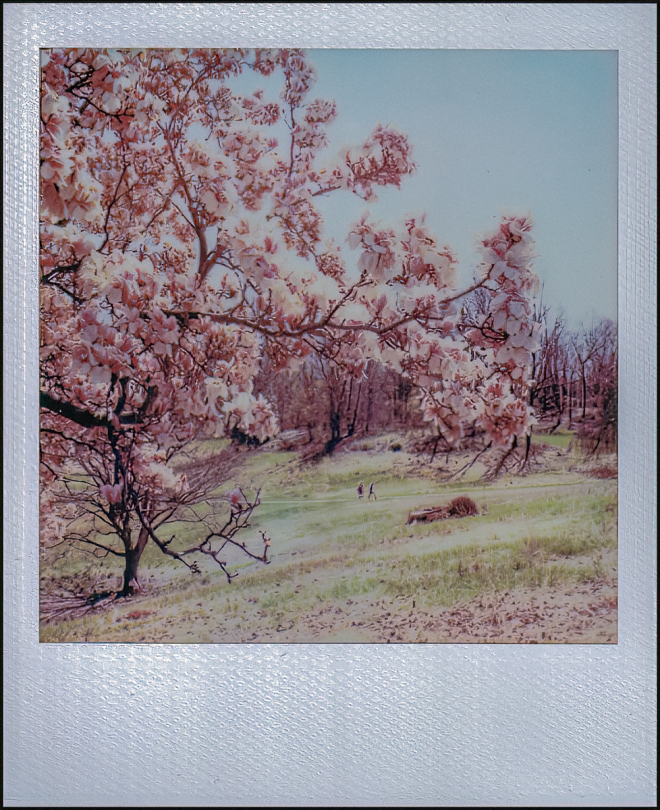 polaroidi2results2-9-of-1