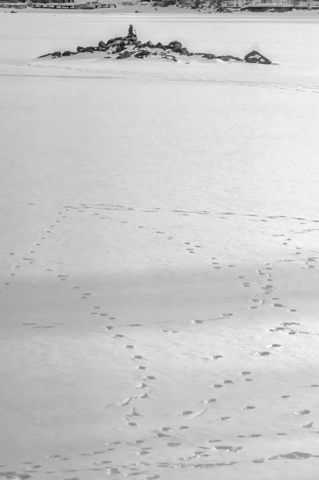 kiron80-200_140131_025-edit