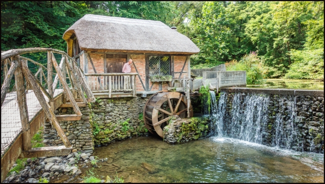 KingstonGomez-2-of-3