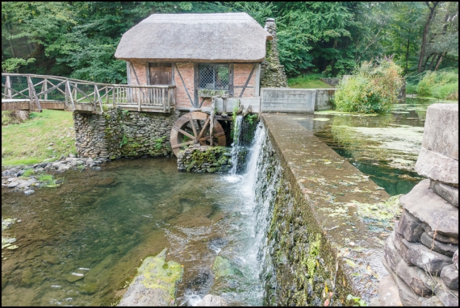 KingstonGomez-3-of-3