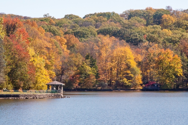 lakefallfoliage-2-of-6