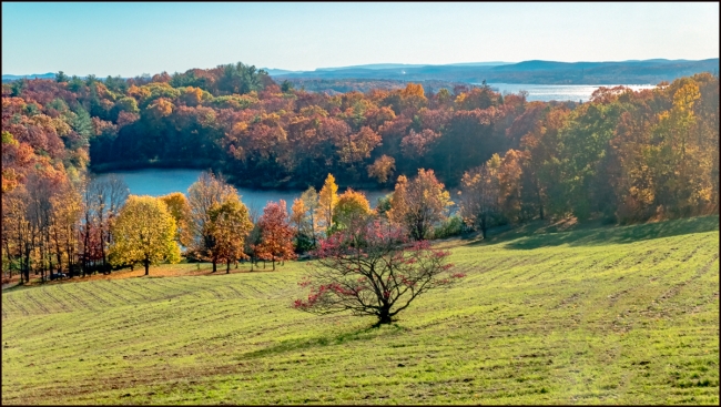 columbiacountylandscapes-1