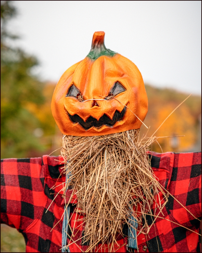 halloweenscarecrows-1