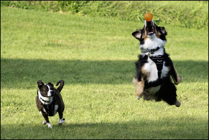 visittoupstatenyvermontjuno-5-of-9