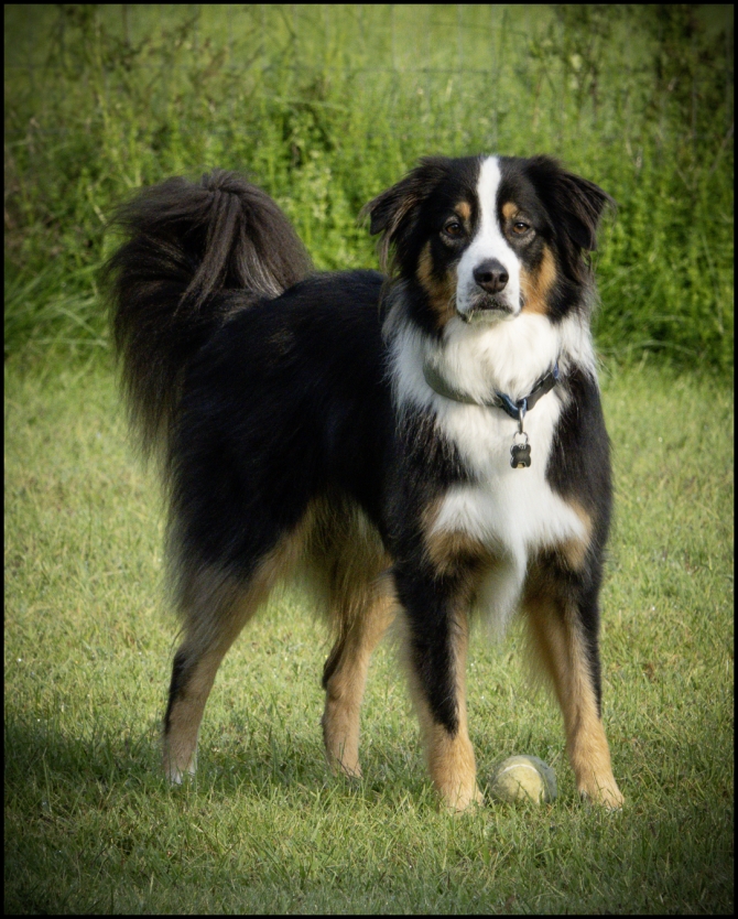 visittoupstatenyvermontjuno-7-of-9