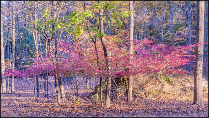 Nikon-Nikkor-24-120mm-f3.5-5.6-D-10-of-15