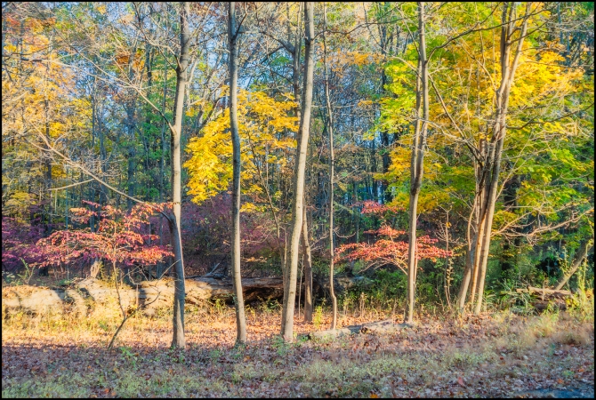 Nikon-Nikkor-24-120mm-f3.5-5.6-D-11-of-15